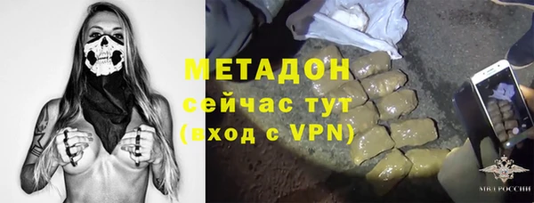 прущие грибы Богородск
