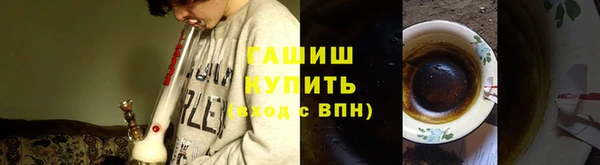 прущие грибы Богородск